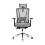 hfc-ht1 full mesh ergonomic director chair with headrest 3D