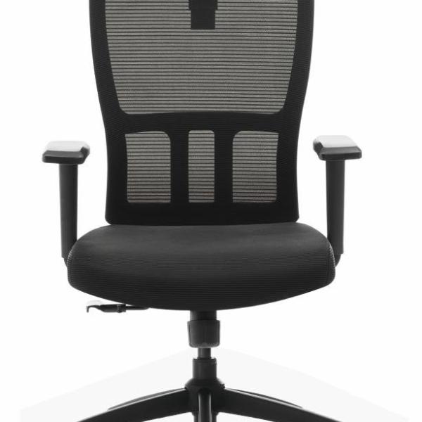 hfc-m1 executive office chair with headrest