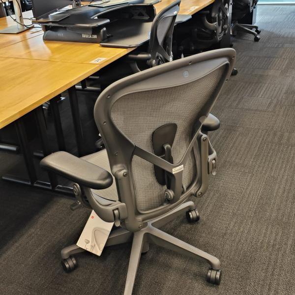 hfc-remastered aeron size B back